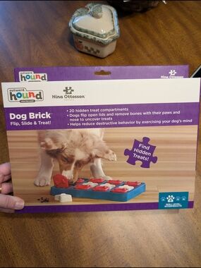 New Outward Hound Dog Brick Interactive Puzzle - Blue and Red
